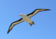 Giebateau4 Giebateau4